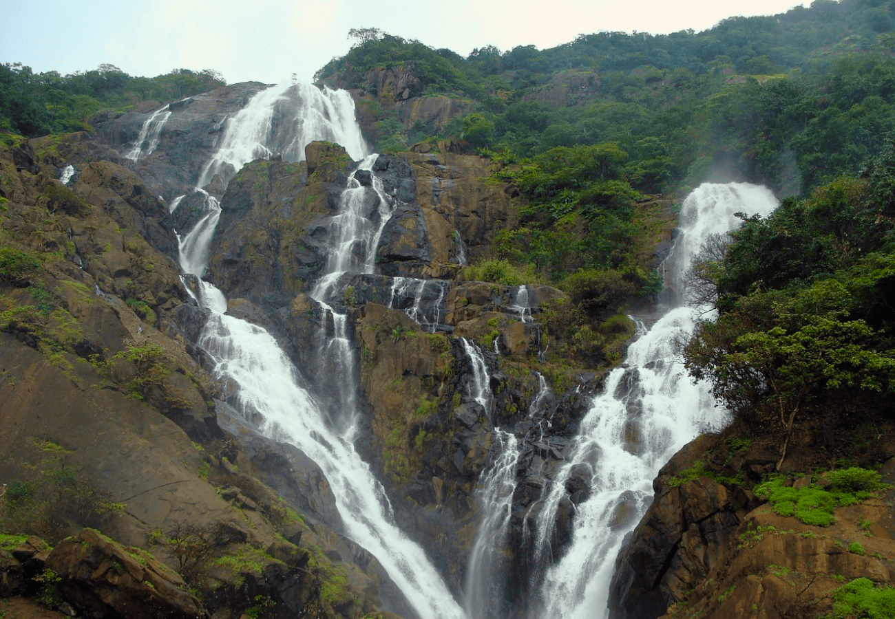 Scenic view of Dudhsagar Waterfalls cascading down lush green cliffs in Goa, India