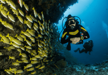 Is Scuba Diving In Goa Recommended