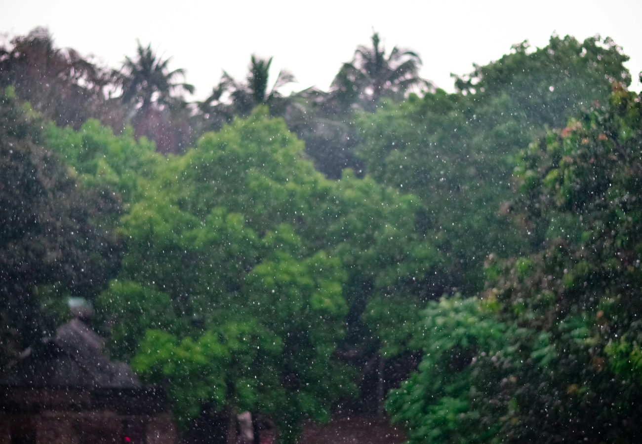 Monsoon Festivals in Goa
